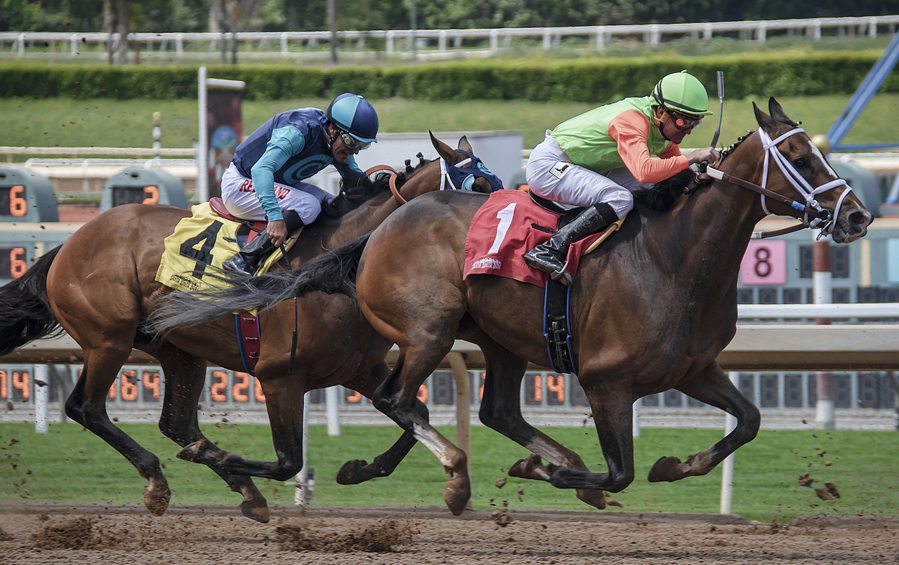 Stats Magiques — deux jockeys au coude à coude dans la ligne droite
